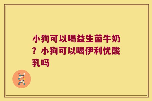 小狗可以喝益生菌牛奶?小狗可以喝伊利优酸乳吗 小狗可以喝益生菌牛奶?小狗可以喝伊利优酸乳吗
