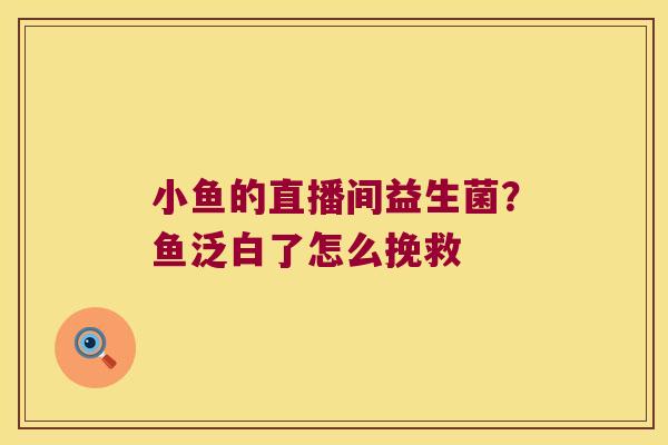 小鱼的直播间益生菌？鱼泛白了怎么挽救