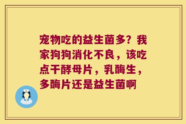 宠物吃的益生菌多？我家狗狗消化不良，该吃点干酵母片，乳酶生，多酶片还是益生菌啊