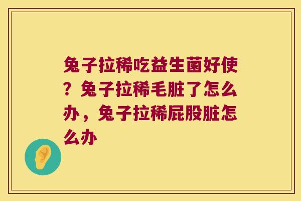 兔子拉稀吃益生菌好使?兔子拉稀毛脏了怎么办,兔子拉稀屁股脏怎么办 兔子拉稀吃益生菌好使?兔子拉稀毛脏了怎么办,兔子拉稀屁股脏怎么办