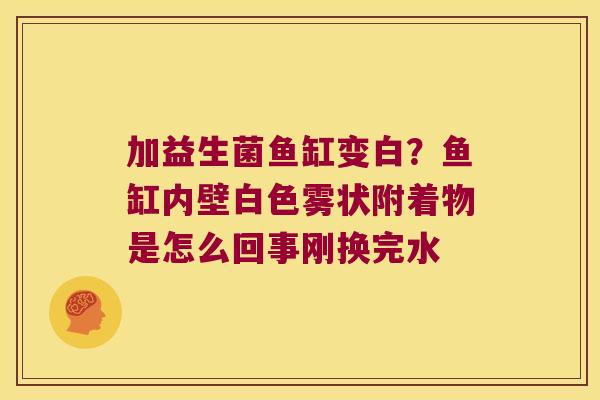 加益生菌鱼缸变白?鱼缸内壁白色雾状附着物是怎么回事刚换完水 加益生菌鱼缸变白?鱼缸内壁白色雾状附着物是怎么回事刚换完水