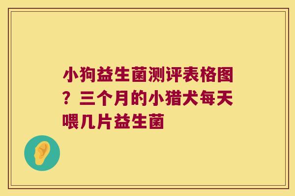 小狗益生菌测评表格图？三个月的小猎犬每天喂几片益生菌
