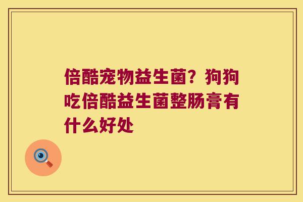 倍酷宠物益生菌？狗狗吃倍酷益生菌整肠膏有什么好处