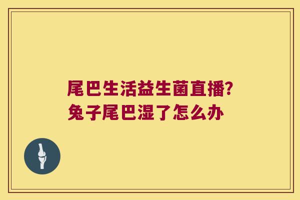 尾巴生活益生菌直播?兔子尾巴湿了怎么办 尾巴生活益生菌直播?兔子尾巴湿了怎么办