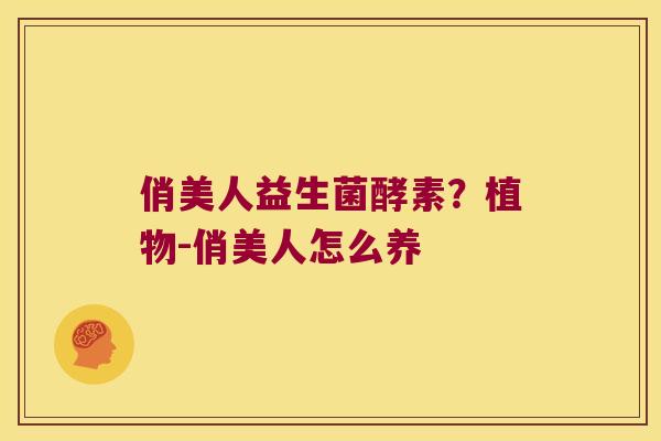 俏美人益生菌酵素？植物-俏美人怎么养