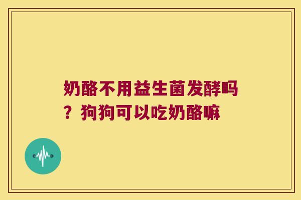 奶酪不用益生菌发酵吗？狗狗可以吃奶酪嘛