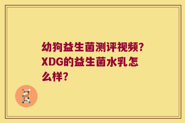 幼狗益生菌测评视频?XDG的益生菌水乳怎么样? 幼狗益生菌测评视频?XDG的益生菌水乳怎么样?