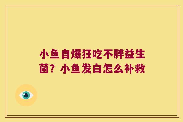 小鱼自爆狂吃不胖益生菌？小鱼发白怎么补救