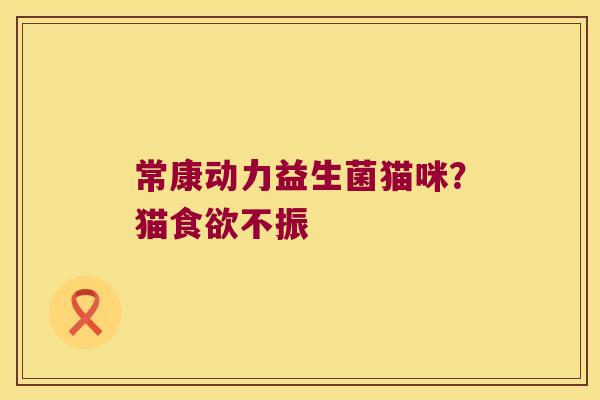 常康动力益生菌猫咪？猫食欲不振