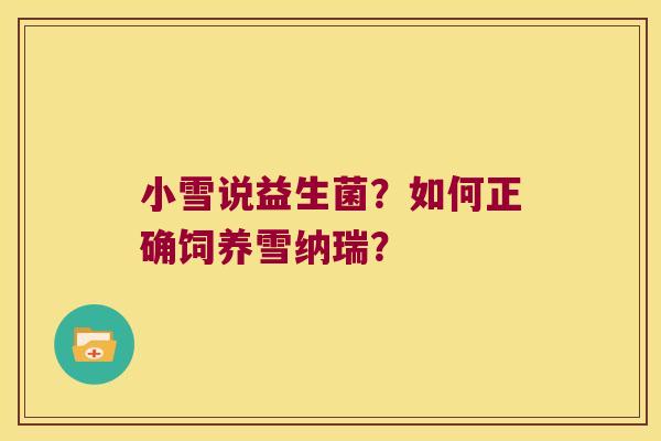 小雪说益生菌?如何正确饲养雪纳瑞? 小雪说益生菌?如何正确饲养雪纳瑞?