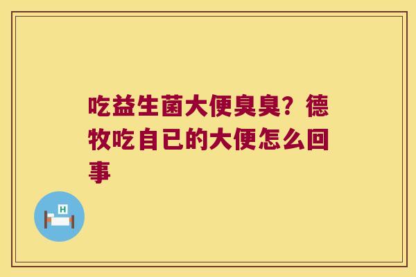 吃益生菌大便臭臭？德牧吃自已的大便怎么回事