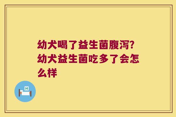 幼犬喝了益生菌腹泻？幼犬益生菌吃多了会怎么样