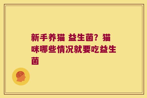 新手养猫 益生菌？猫咪哪些情况就要吃益生菌