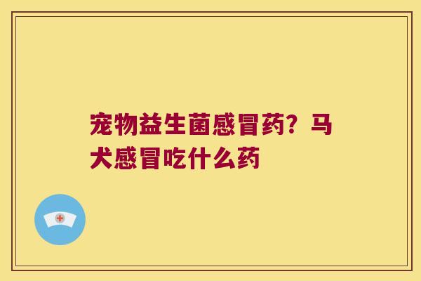 宠物益生菌药?马犬吃什么药 宠物益生菌药?马犬吃什么药
