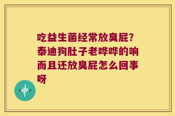 吃益生菌经常放臭屁？泰迪狗肚子老哗哗的响而且还放臭屁怎么回事呀