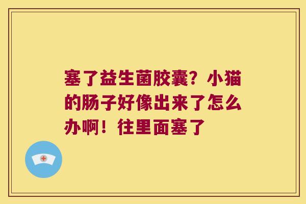 塞了益生菌胶囊？小猫的肠子好像出来了怎么办啊！往里面塞了