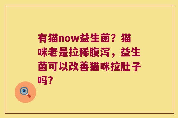 有猫now益生菌？猫咪老是拉稀腹泻，益生菌可以改善猫咪拉肚子吗？