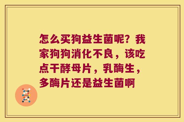 怎么买狗益生菌呢？我家狗狗，该吃点干酵母片，乳酶生，多酶片还是益生菌啊