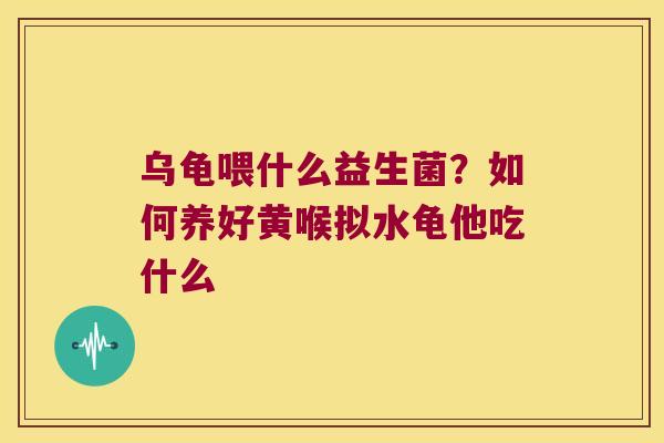 乌龟喂什么益生菌？如何养好黄喉拟水龟他吃什么