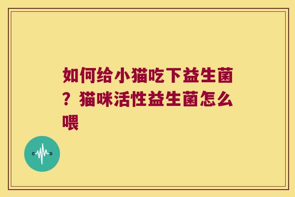 如何给小猫吃下益生菌？猫咪活性益生菌怎么喂