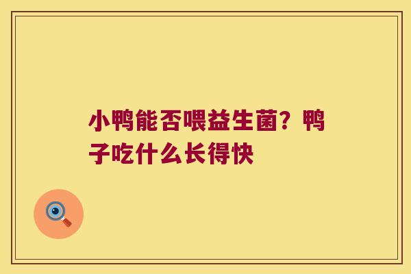 小鸭能否喂益生菌？鸭子吃什么长得快