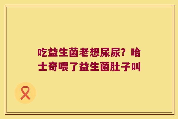 吃益生菌老想尿尿？哈士奇喂了益生菌肚子叫