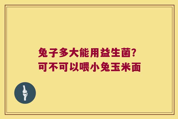 兔子多大能用益生菌?可不可以喂小兔玉米面 兔子多大能用益生菌?可不可以喂小兔玉米面