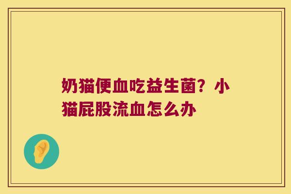 奶猫便血吃益生菌？小猫屁股流血怎么办