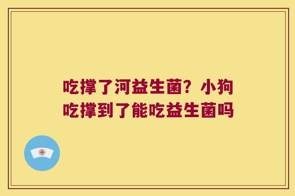 吃撑了河益生菌?小狗吃撑到了能吃益生菌吗 吃撑了河益生菌?小狗吃撑到了能吃益生菌吗