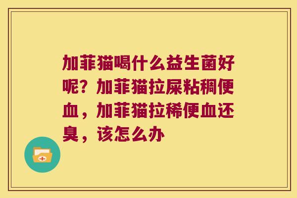 加菲猫喝什么益生菌好呢?加菲猫拉屎粘稠便,加菲猫拉稀便还臭,该怎么办 加菲猫喝什么益生菌好呢?加菲猫拉屎粘稠便,加菲猫拉稀便还臭,该怎么办