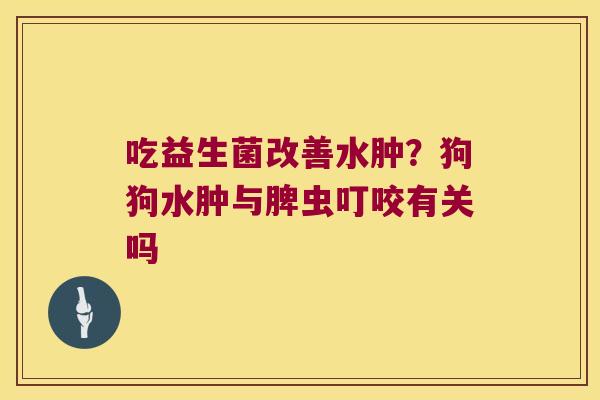 吃益生菌改善水肿？狗狗水肿与脾虫叮咬有关吗