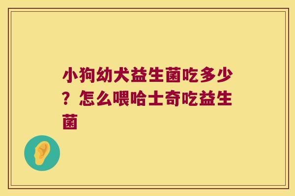 小狗幼犬益生菌吃多少?怎么喂哈士奇吃益生菌 小狗幼犬益生菌吃多少?怎么喂哈士奇吃益生菌