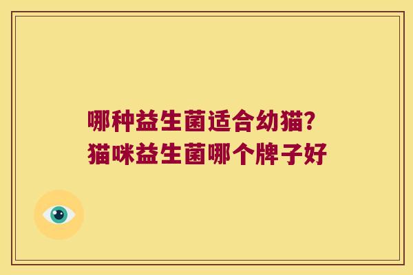 哪种益生菌适合幼猫?猫咪益生菌哪个牌子好 哪种益生菌适合幼猫?猫咪益生菌哪个牌子好