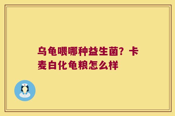 乌龟喂哪种益生菌？卡麦白化龟粮怎么样