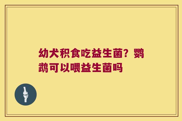 幼犬积食吃益生菌?鹦鹉可以喂益生菌吗 幼犬积食吃益生菌?鹦鹉可以喂益生菌吗