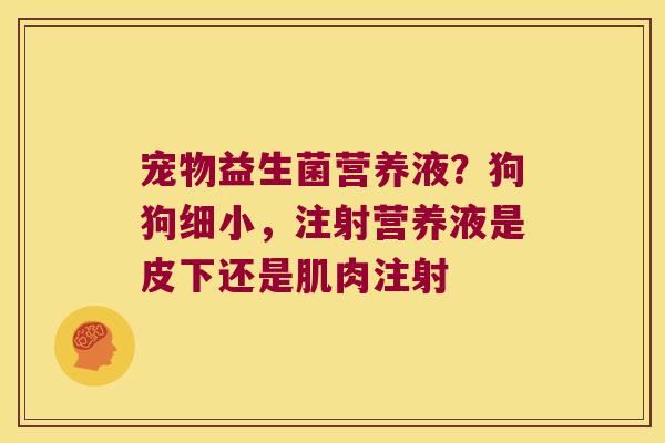 宠物益生菌营养液？狗狗细小，注射营养液是皮下还是肌肉注射
