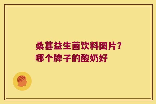 桑葚益生菌饮料图片？哪个牌子的酸奶好
