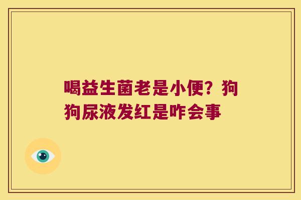 喝益生菌老是小便？狗狗尿液发红是咋会事
