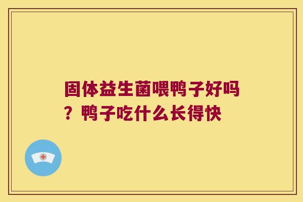 固体益生菌喂鸭子好吗？鸭子吃什么长得快