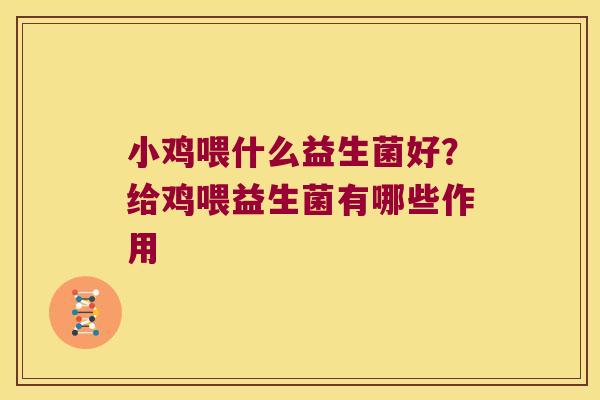 小鸡喂什么益生菌好？给鸡喂益生菌有哪些作用