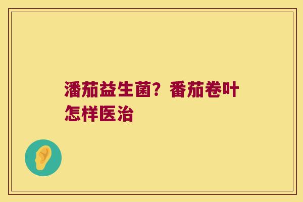 潘茄益生菌?番茄卷叶怎样医 潘茄益生菌?番茄卷叶怎样医