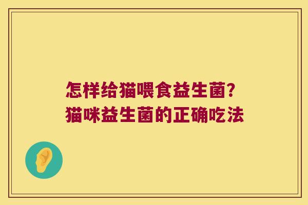 怎样给猫喂食益生菌？猫咪益生菌的正确吃法