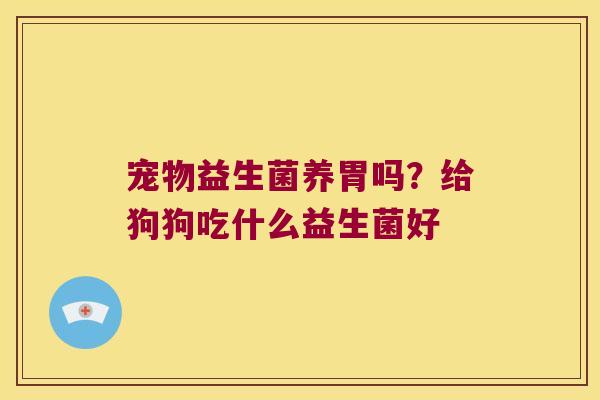 宠物益生菌养胃吗?给狗狗吃什么益生菌好 宠物益生菌养胃吗?给狗狗吃什么益生菌好