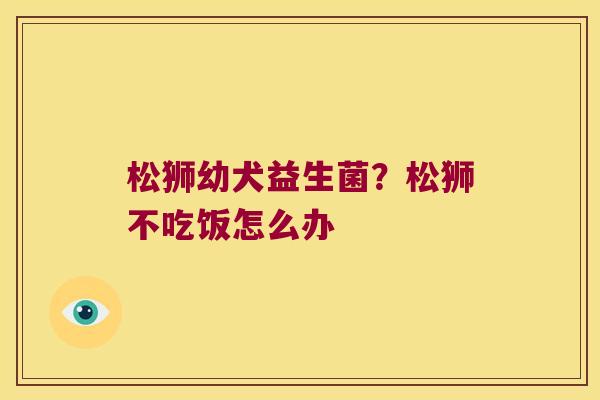 松狮幼犬益生菌?松狮不吃饭怎么办 松狮幼犬益生菌?松狮不吃饭怎么办