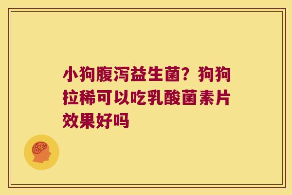 小狗益生菌？狗狗拉稀可以吃乳酸菌素片效果好吗