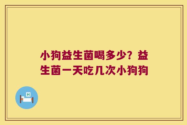 小狗益生菌喝多少?益生菌一天吃几次小狗狗 小狗益生菌喝多少?益生菌一天吃几次小狗狗