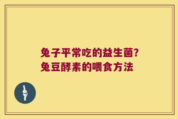 兔子平常吃的益生菌？兔豆酵素的喂食方法
