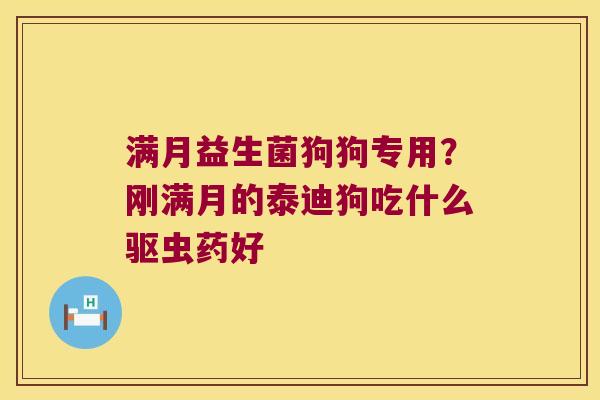 满月益生菌狗狗专用？刚满月的泰迪狗吃什么驱虫药好
