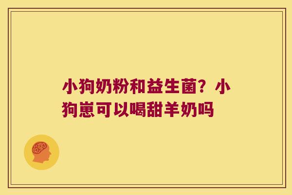 小狗奶粉和益生菌？小狗崽可以喝甜羊奶吗