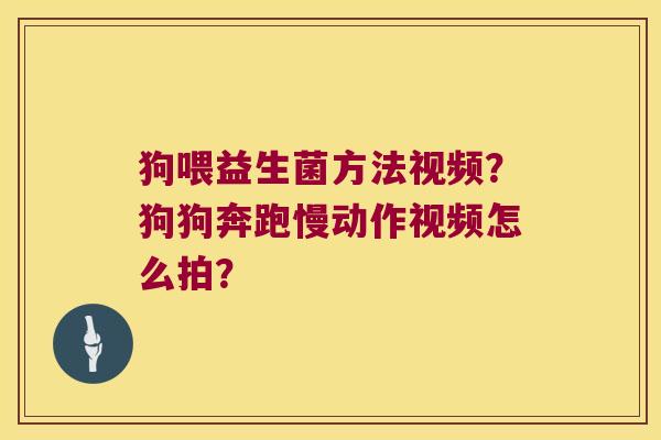 狗喂益生菌方法视频？狗狗奔跑慢动作视频怎么拍？